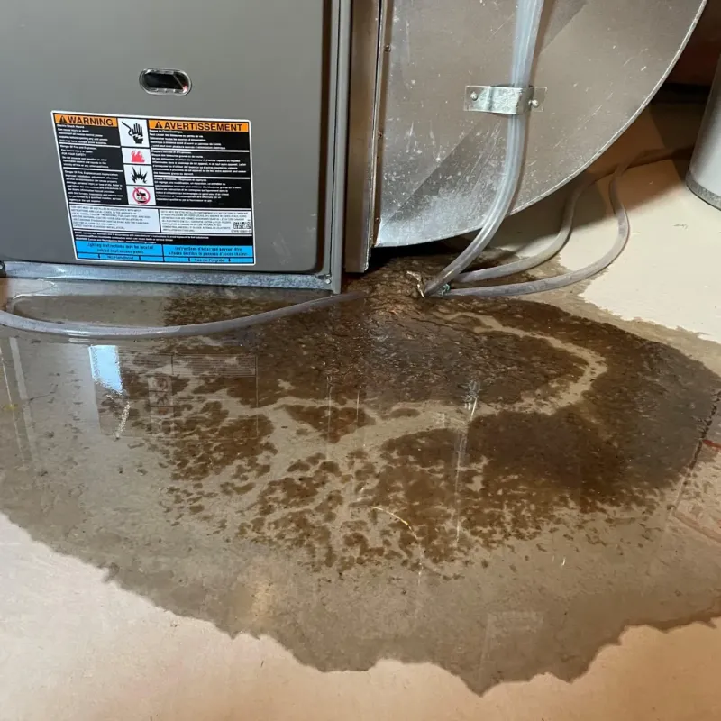 Appliance Leak Cleanup in Haiku-Pauwela, HI